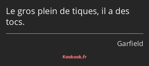 Le gros plein de tiques, il a des tocs.