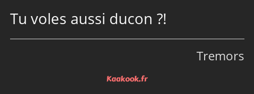 Tu voles aussi ducon ?!