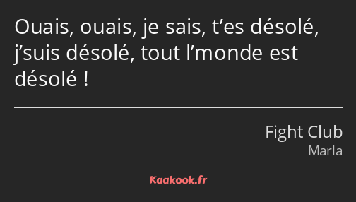 Ouais, ouais, je sais, t’es désolé, j’suis désolé, tout l’monde est désolé !