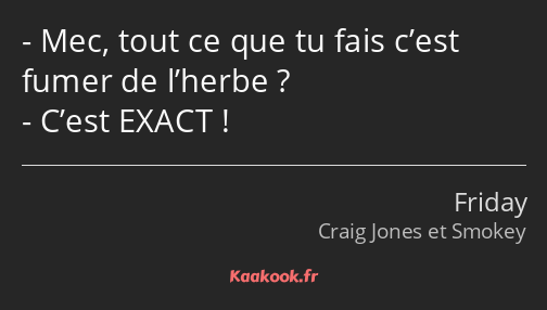 Mec, tout ce que tu fais c’est fumer de l’herbe ? C’est EXACT !