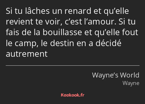 Si tu lâches un renard et qu’elle revient te voir, c’est l’amour. Si tu fais de la bouillasse et…