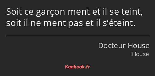 Soit ce garçon ment et il se teint, soit il ne ment pas et il s’éteint.