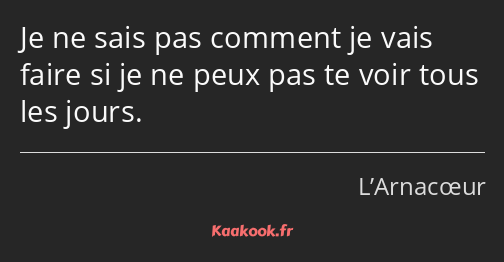 Je ne sais pas comment je vais faire si je ne peux pas te voir tous les jours.