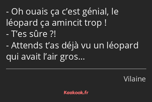 Oh ouais ça c’est génial, le léopard ça amincit trop ! T’es sûre ?! Attends t’as déjà vu un léopard…