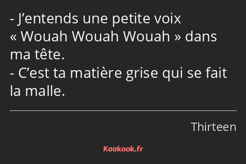 J’entends une petite voix Wouah Wouah Wouah dans ma tête. C’est ta matière grise qui se fait la…