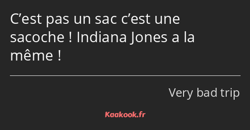 C’est pas un sac c’est une sacoche ! Indiana Jones a la même !