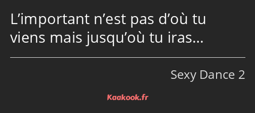L’important n’est pas d’où tu viens mais jusqu’où tu iras…