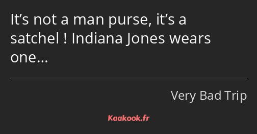 It’s not a man purse, it’s a satchel ! Indiana Jones wears one…