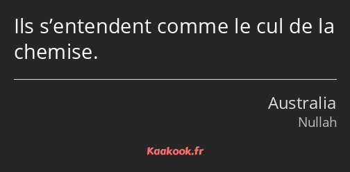 Ils s’entendent comme le cul de la chemise.