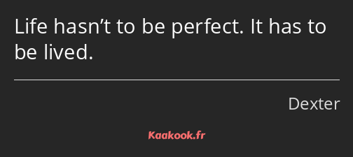 Life hasn’t to be perfect. It has to be lived.