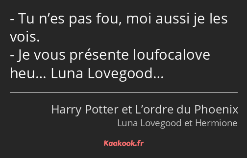 Tu n’es pas fou, moi aussi je les vois. Je vous présente loufocalove heu… Luna Lovegood…