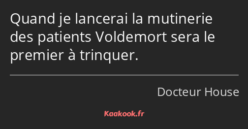 Quand je lancerai la mutinerie des patients Voldemort sera le premier à trinquer.