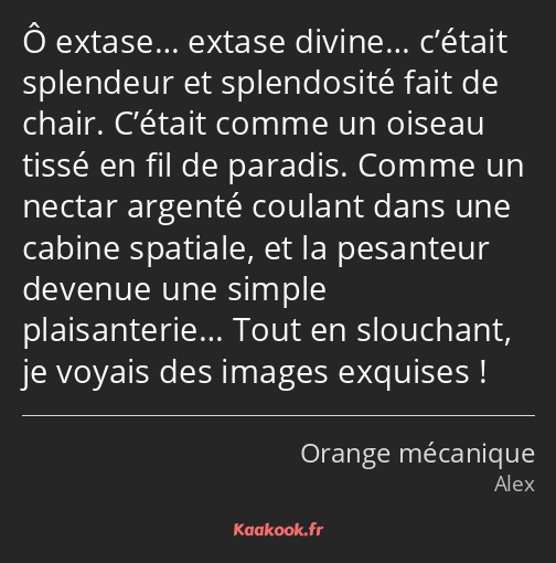 Ô extase… extase divine… c’était splendeur et splendosité fait de chair. C’était comme un oiseau…