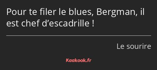 Pour te filer le blues, Bergman, il est chef d’escadrille !