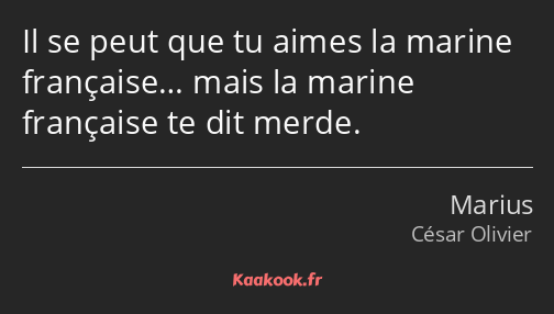 Il se peut que tu aimes la marine française… mais la marine française te dit merde.