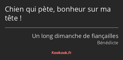 Chien qui pète, bonheur sur ma tête !