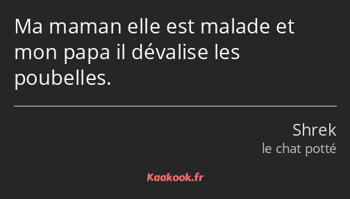 Ma maman elle est malade et mon papa il dévalise les poubelles.