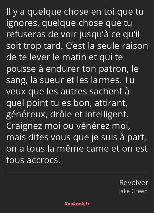 Il y a quelque chose en toi que tu ignores, quelque chose que tu refuseras de voir jusqu’à ce qu’il…