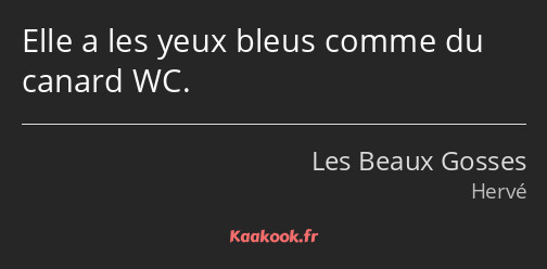 Elle a les yeux bleus comme du canard WC.