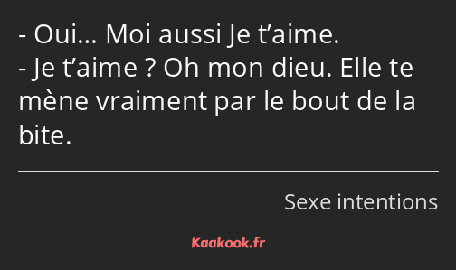 Oui… Moi aussi Je t’aime. Je t’aime ? Oh mon dieu. Elle te mène vraiment par le bout de la bite.