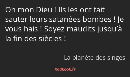 Oh mon Dieu ! Ils les ont fait sauter leurs satanées bombes ! Je vous hais ! Soyez maudits jusqu’à…