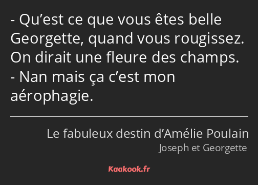 Qu’est ce que vous êtes belle Georgette, quand vous rougissez. On dirait une fleure des champs. Nan…