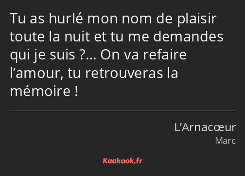 Tu as hurlé mon nom de plaisir toute la nuit et tu me demandes qui je suis ?… On va refaire l’amour…