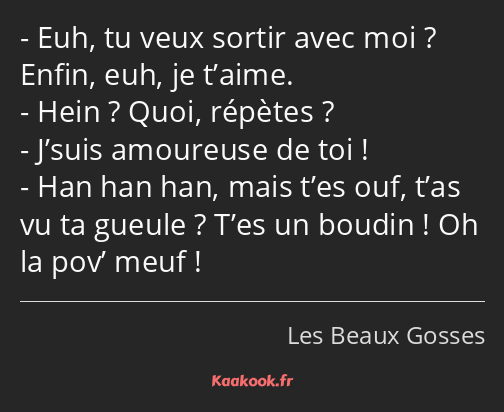 Euh, tu veux sortir avec moi ? Enfin, euh, je t’aime. Hein ? Quoi, répètes ? J’suis amoureuse de…