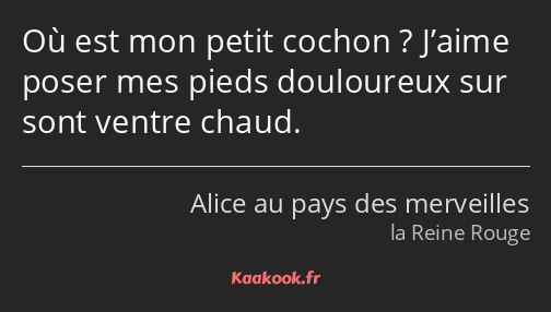 Où est mon petit cochon ? J’aime poser mes pieds douloureux sur sont ventre chaud.