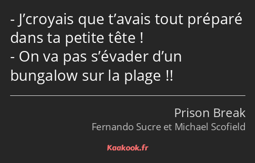 J’croyais que t’avais tout préparé dans ta petite tête ! On va pas s’évader d’un bungalow sur la…