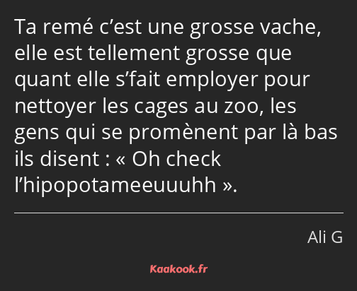 Ta remé c’est une grosse vache, elle est tellement grosse que quant elle s’fait employer pour…