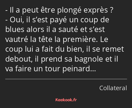 Il a peut être plongé exprès ? Oui, il s’est payé un coup de blues alors il a sauté et s’est vautré…