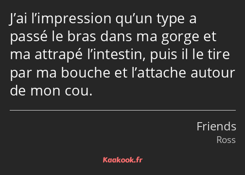 J’ai l’impression qu’un type a passé le bras dans ma gorge et ma attrapé l’intestin, puis il le…