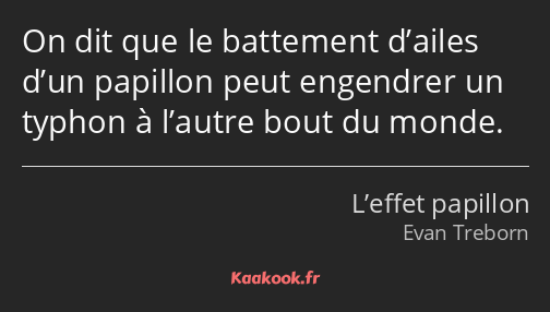 On dit que le battement d’ailes d’un papillon peut engendrer un typhon à l’autre bout du monde.