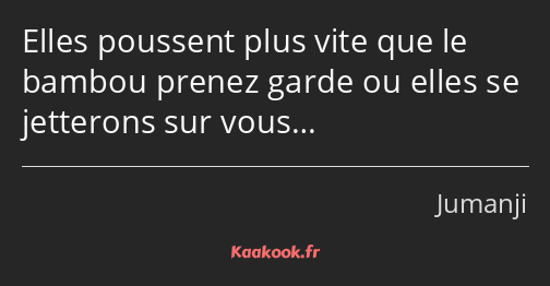 Elles poussent plus vite que le bambou prenez garde ou elles se jetterons sur vous…