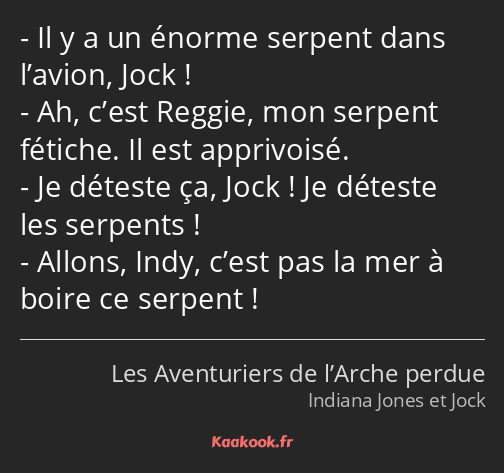 Il y a un énorme serpent dans l’avion, Jock ! Ah, c’est Reggie, mon serpent fétiche. Il est…