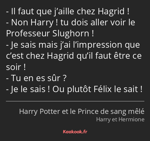 Il faut que j’aille chez Hagrid ! Non Harry ! tu dois aller voir le Professeur Slughorn ! Je sais…