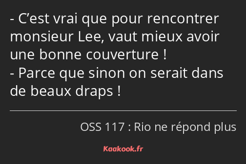 C’est vrai que pour rencontrer monsieur Lee, vaut mieux avoir une bonne couverture ! Parce que…