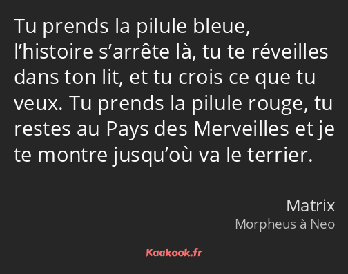 Tu prends la pilule bleue, l’histoire s’arrête là, tu te réveilles dans ton lit, et tu crois ce que…