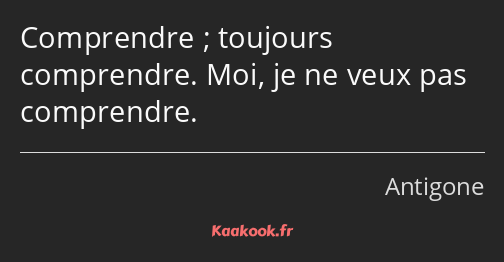 Comprendre ; toujours comprendre. Moi, je ne veux pas comprendre.