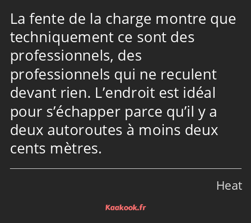 La fente de la charge montre que techniquement ce sont des professionnels, des professionnels qui…