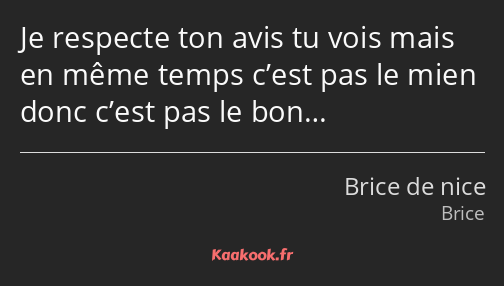 Je respecte ton avis tu vois mais en même temps c’est pas le mien donc c’est pas le bon…