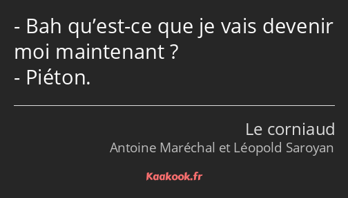 Bah qu’est-ce que je vais devenir moi maintenant ? Piéton.