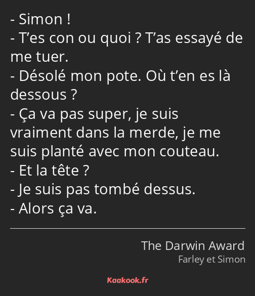 Simon ! T’es con ou quoi ? T’as essayé de me tuer. Désolé mon pote. Où t’en es là dessous ? Ça va…