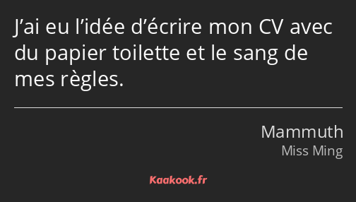 J’ai eu l’idée d’écrire mon CV avec du papier toilette et le sang de mes règles.