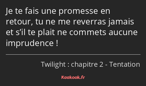 Je te fais une promesse en retour, tu ne me reverras jamais et s’il te plait ne commets aucune…