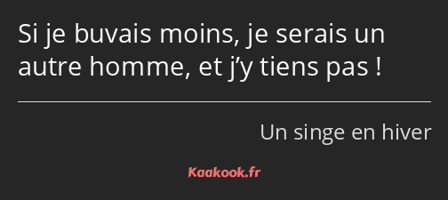 Si je buvais moins, je serais un autre homme, et j’y tiens pas !