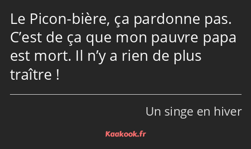 Le Picon-bière, ça pardonne pas. C’est de ça que mon pauvre papa est mort. Il n’y a rien de plus…