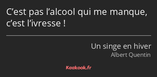 C’est pas l’alcool qui me manque, c’est l’ivresse !