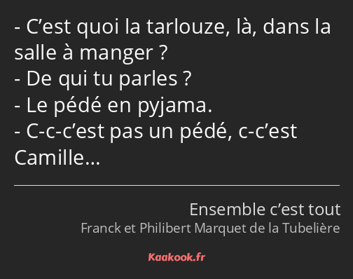 C’est quoi la tarlouze, là, dans la salle à manger ? De qui tu parles ? Le pédé en pyjama. C-c…